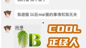 新番更新最新爆料视频,最新视频揭秘精彩剧情与角色动向