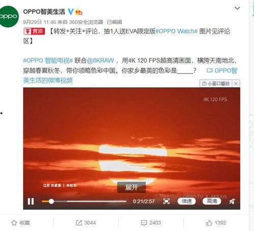 电白论坛星期三最新爆料,最新事件揭秘,星期三热点追踪