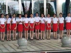 武冈新闻爆料最新消息网,最新动态速览,热点事件追踪